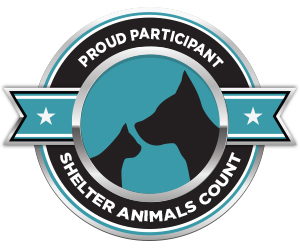 Shelter Animal Count