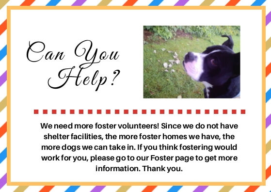 Can You Help Foster